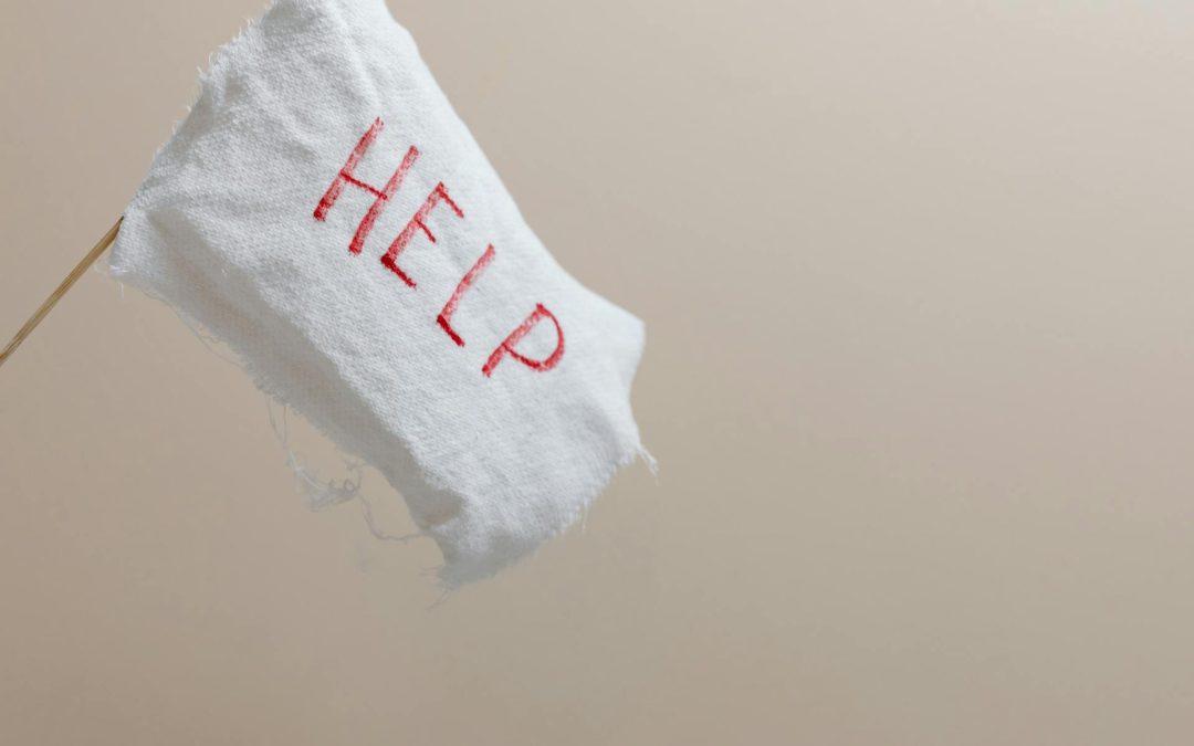 [The Temporary Spouse] Chapter 15:  White Flags