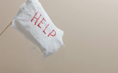 [The Temporary Spouse] Chapter 15:  White Flags