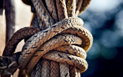 [The Temporary Spouse] Interlude: Twisted and Tie