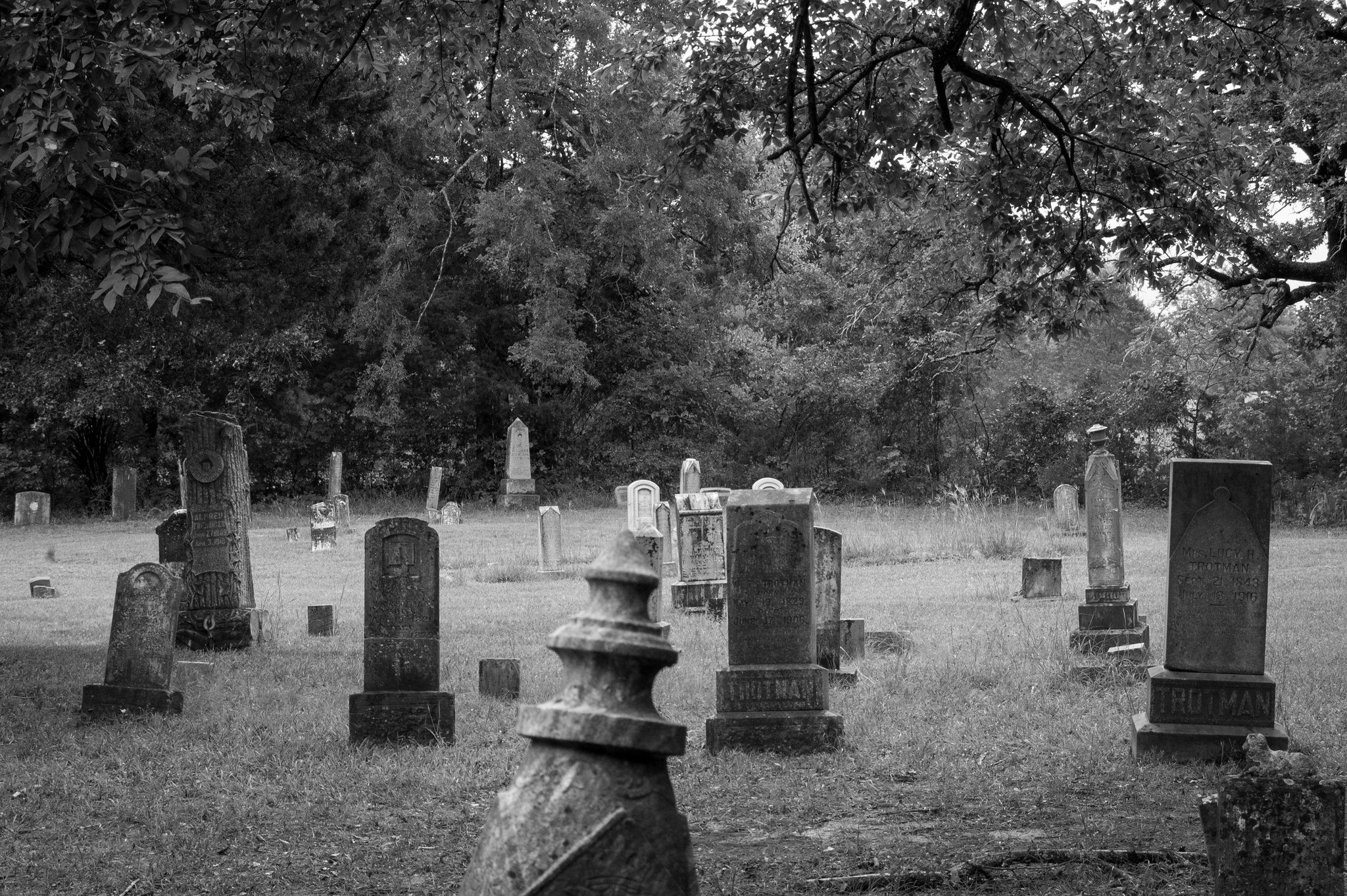image by Mark Collins swampt01 a black and white photo of an old graveyard