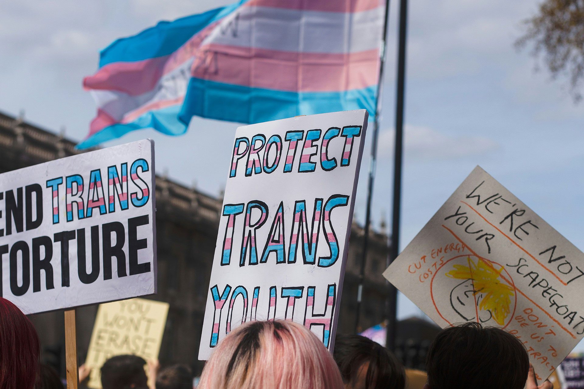 a photo of a trans rights march with a trans pride flag in the background among white picket signs. 