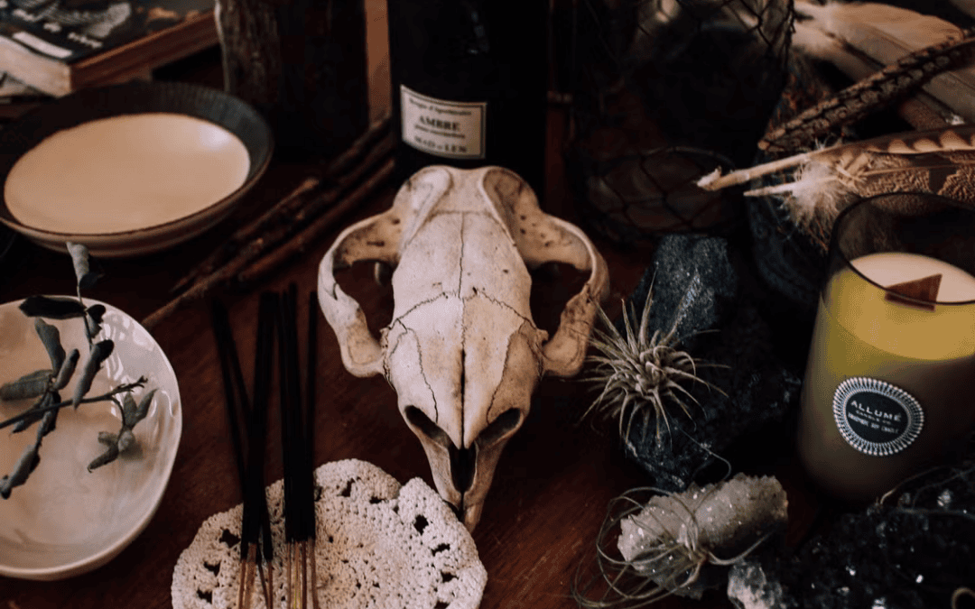 [Some Assembly Required] Domestic Rituals